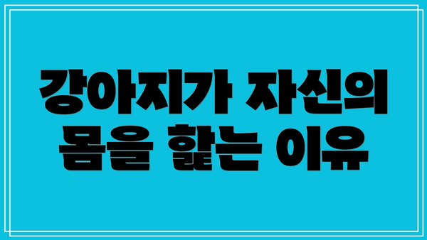 강아지가 자신의 몸을 핥는 이유