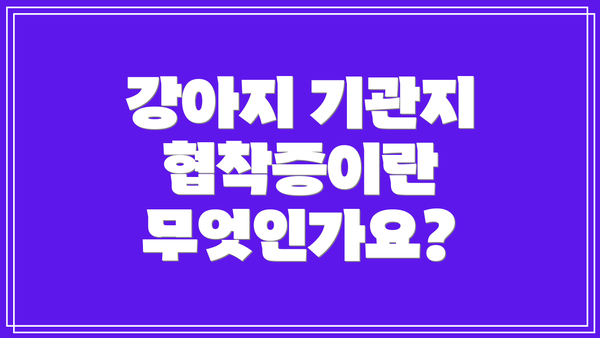 강아지 기관지 협착증이란 무엇인가요?