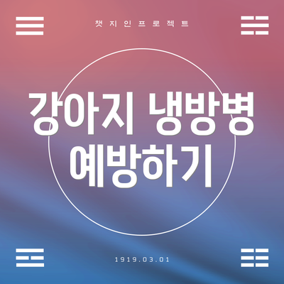 강아지 냉방병 예방하기