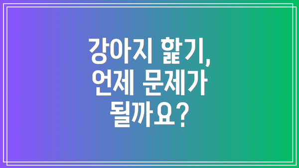 강아지 핥기, 언제 문제가 될까요?
