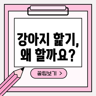 강아지 핥기, 왜 할까요?