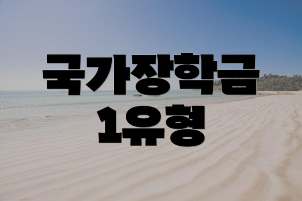 국가장학금 1유형