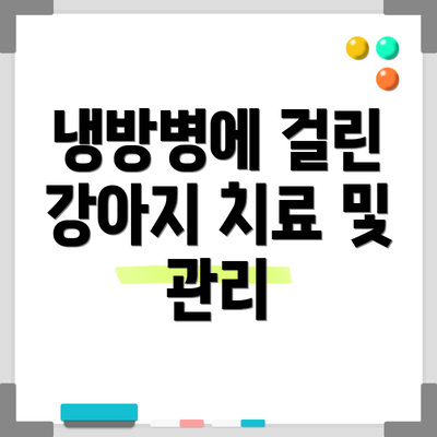 냉방병에 걸린 강아지 치료 및 관리