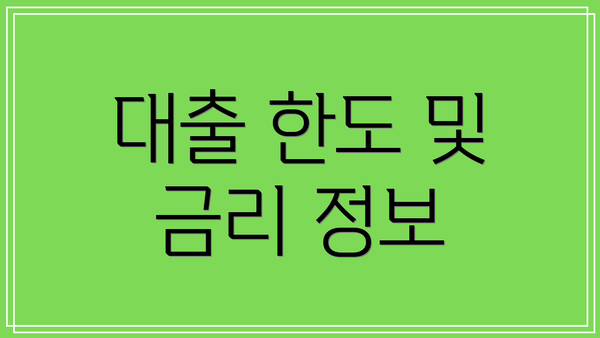 대출 한도 및 금리 정보