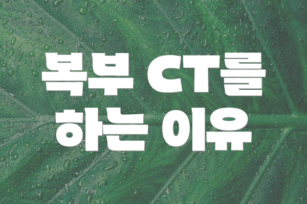 복부 CT를 하는 이유