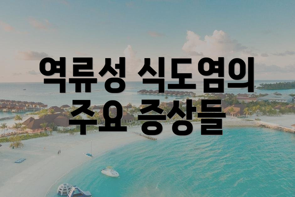 역류성 식도염의 주요 증상들
