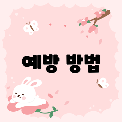 예방 방법