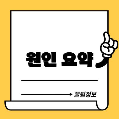 원인 요약
