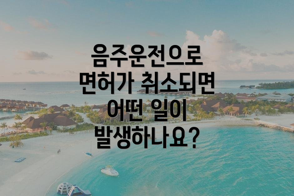 음주운전으로 면허가 취소되면 어떤 일이 발생하나요?
