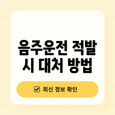음주운전 적발 시 대처 방법