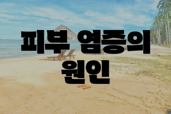피부 염증의 원인