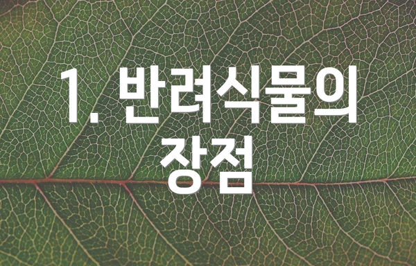 1. 반려식물의 장점