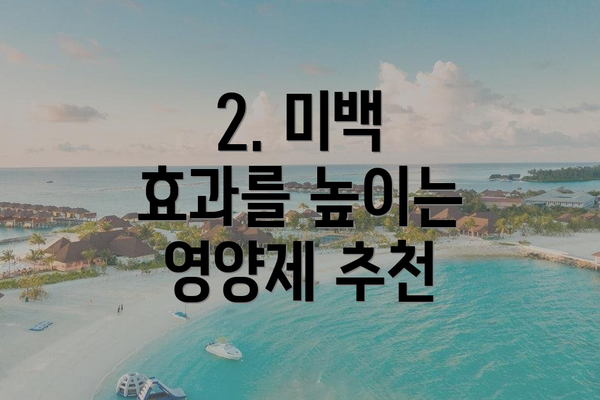 2. 미백 효과를 높이는 영양제 추천