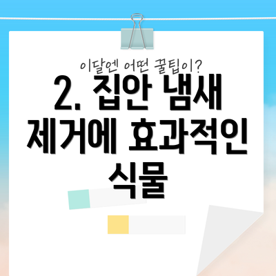 2. 집안 냄새 제거에 효과적인 식물