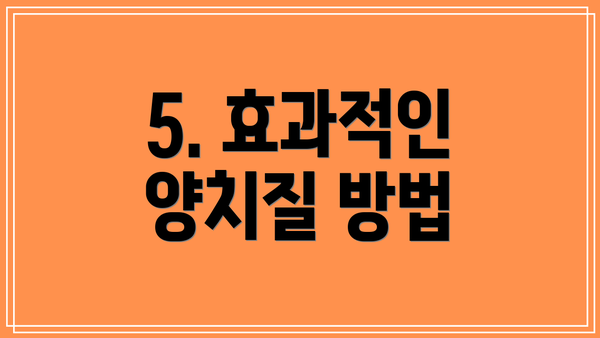 5. 효과적인 양치질 방법