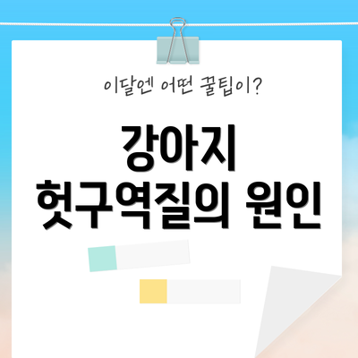 강아지 헛구역질의 원인