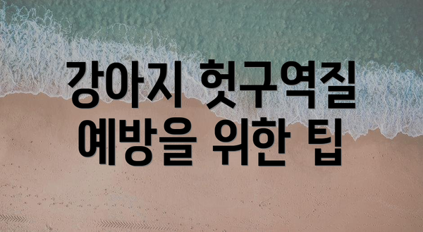 강아지 헛구역질 예방을 위한 팁