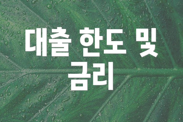 대출 한도 및 금리