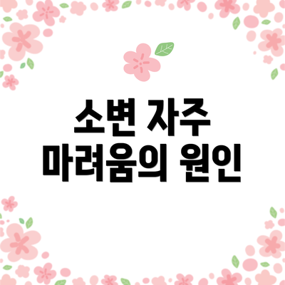 소변 자주 마려움의 원인