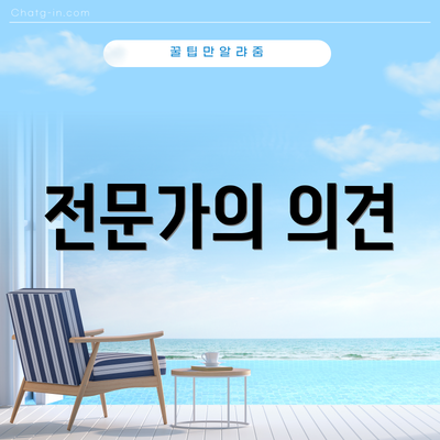 전문가의 의견