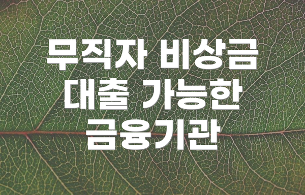 무직자 비상금 대출 가능한 금융기관
