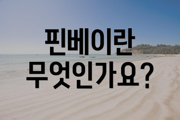 핀베이란 무엇인가요?