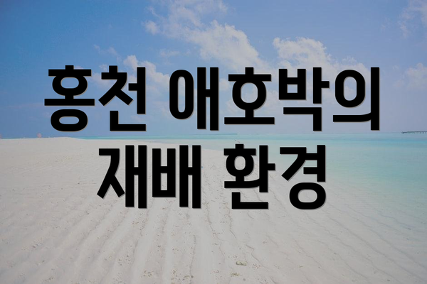 홍천 애호박의 재배 환경