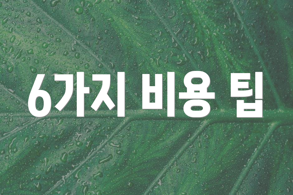 6가지 비용 팁