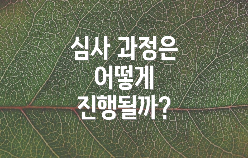 심사 과정은 어떻게 진행될까?