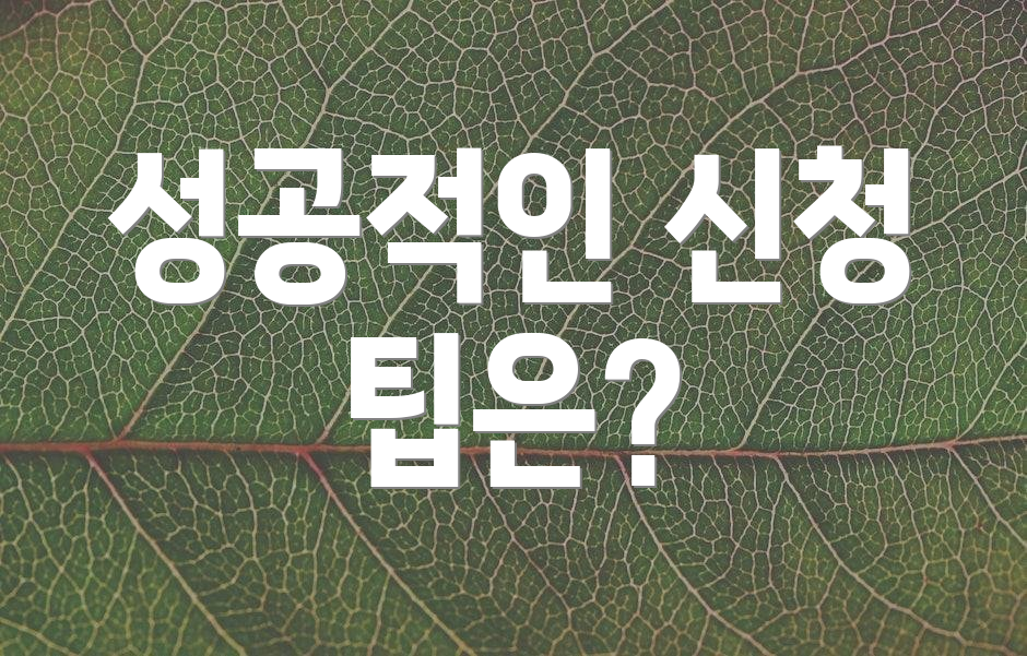 성공적인 신청 팁은?