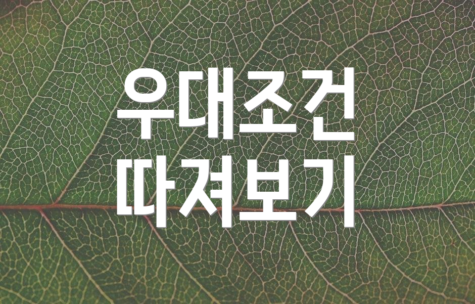 우대조건 따져보기