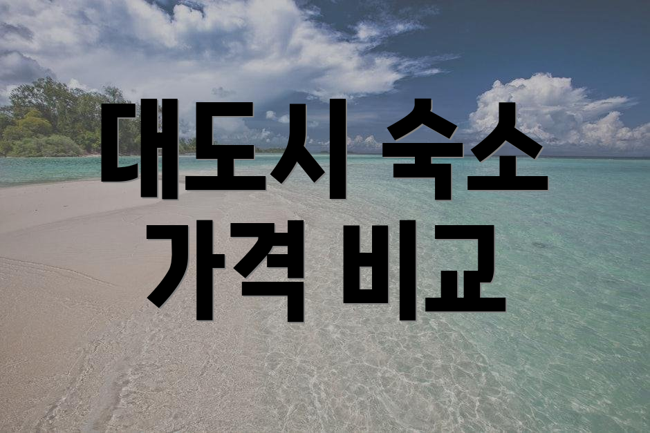 대도시 숙소 가격 비교