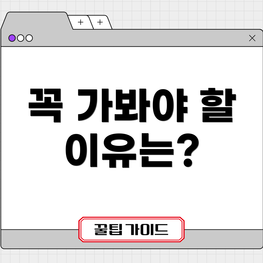 꼭 가봐야 할 이유는?