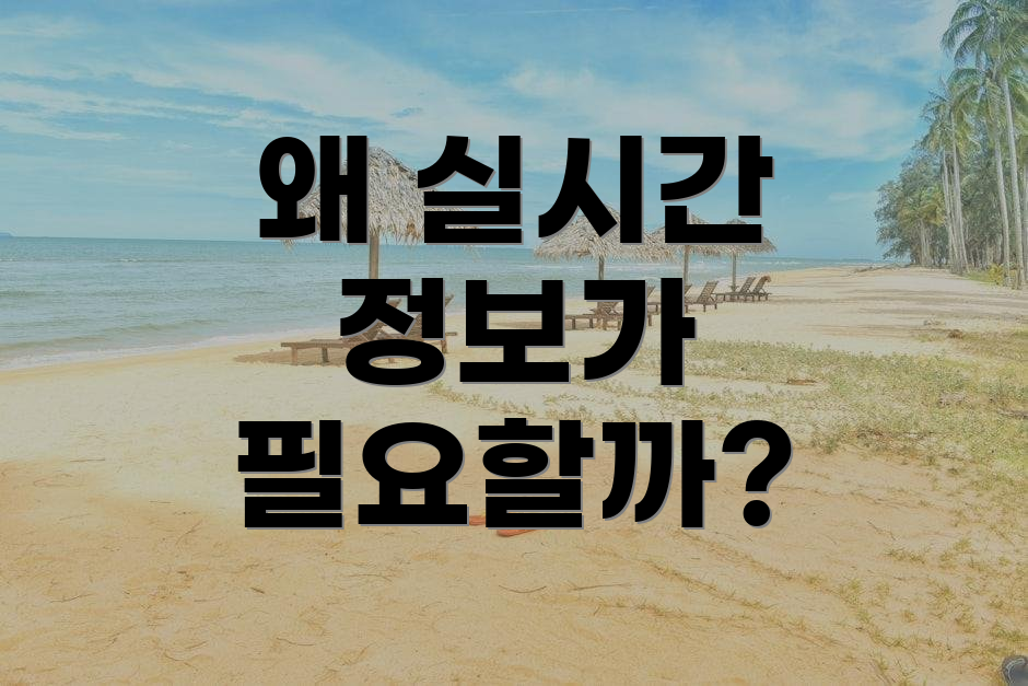 왜 실시간 정보가 필요할까?