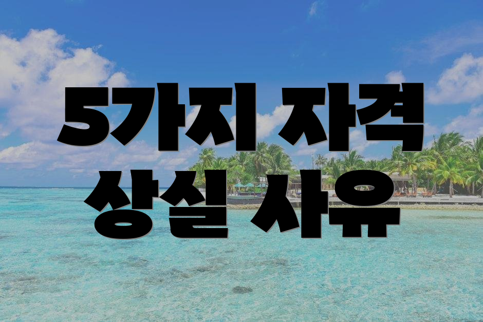 5가지 자격 상실 사유