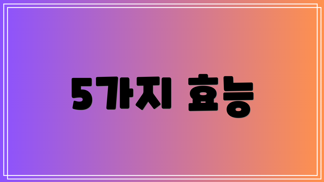 5가지 효능