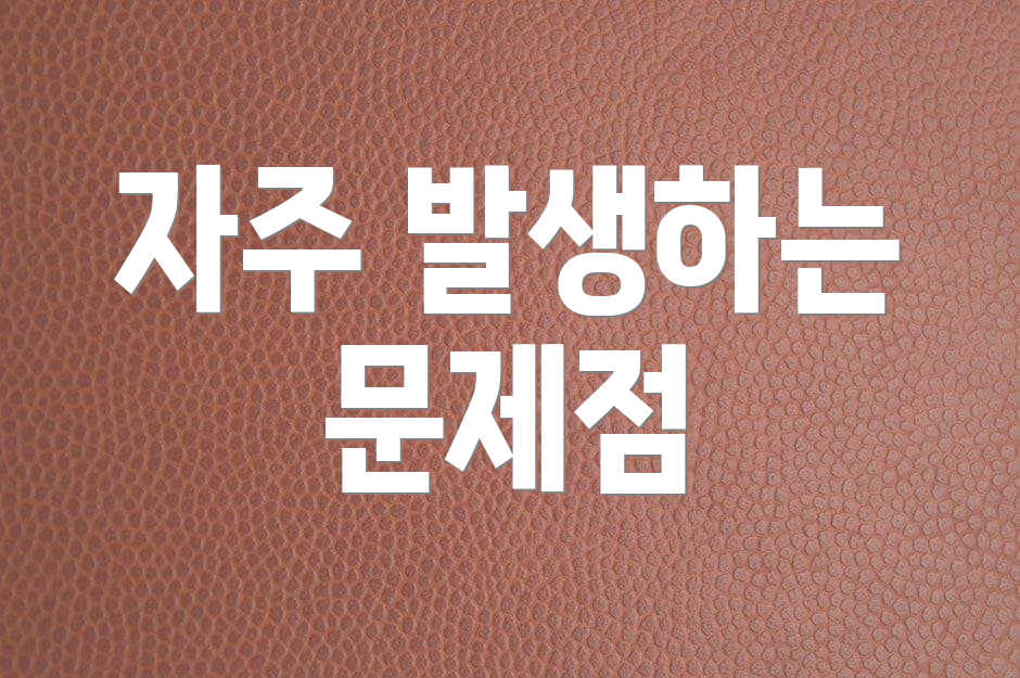 자주 발생하는 문제점