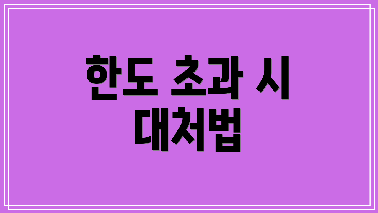 한도 초과 시 대처법