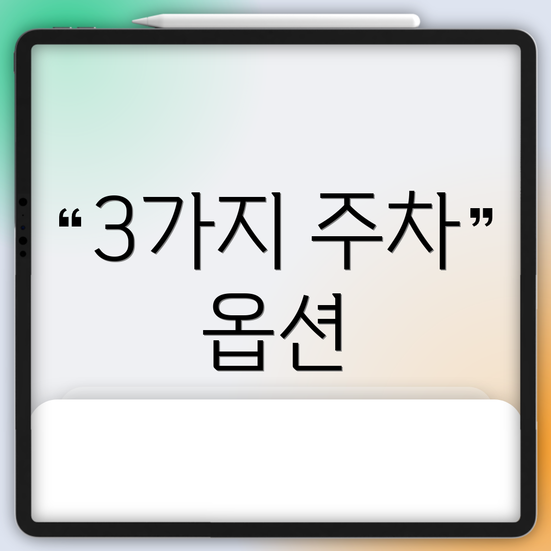 3가지 주차 옵션