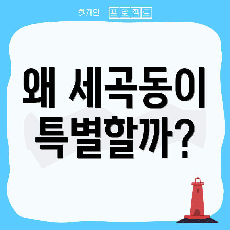 왜 세곡동이 특별할까?