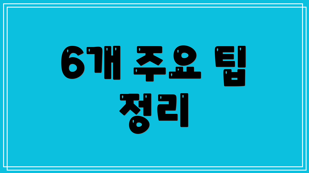 6개 주요 팁 정리