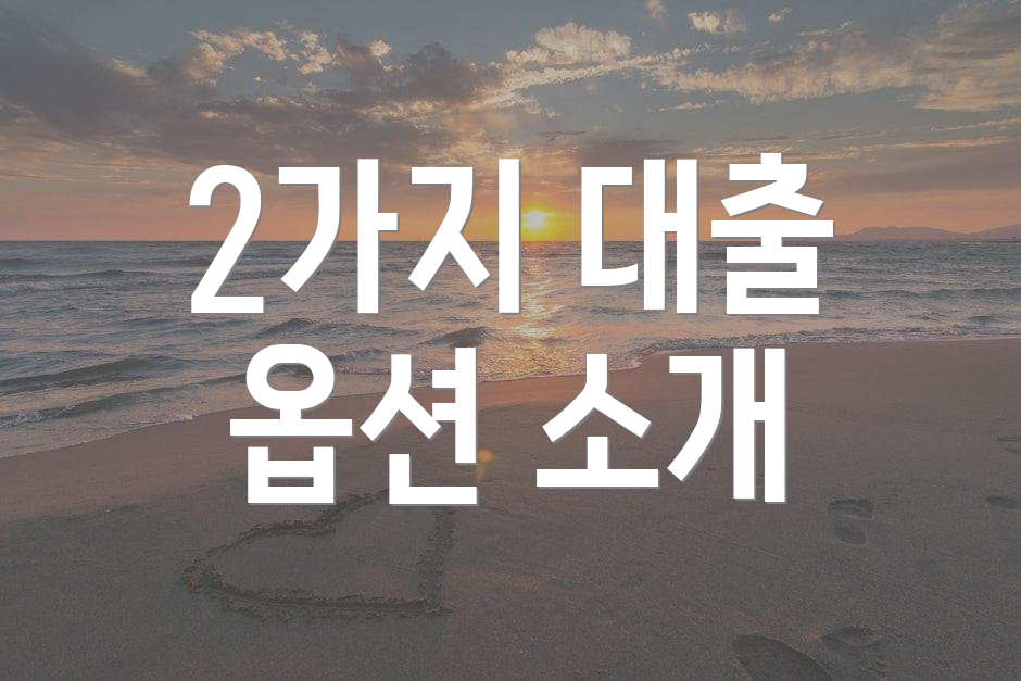 2가지 대출 옵션 소개
