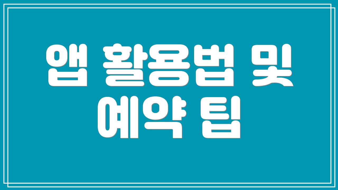 앱 활용법 및 예약 팁