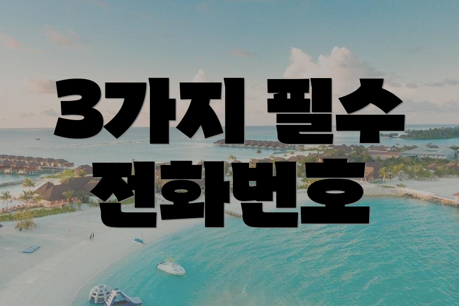 3가지 필수 전화번호
