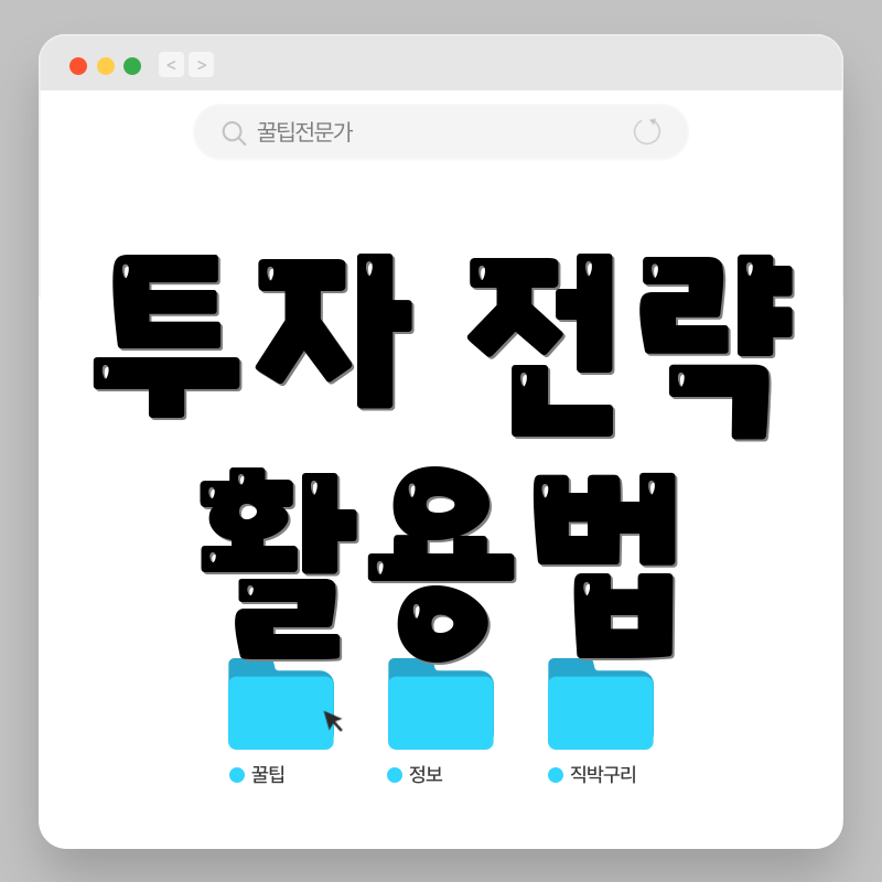 투자 전략 활용법
