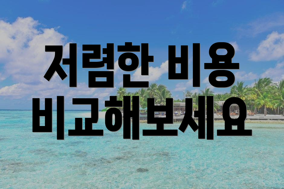저렴한 비용 비교해보세요
