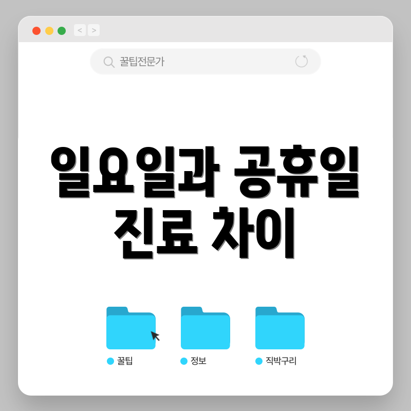 일요일과 공휴일 진료 차이