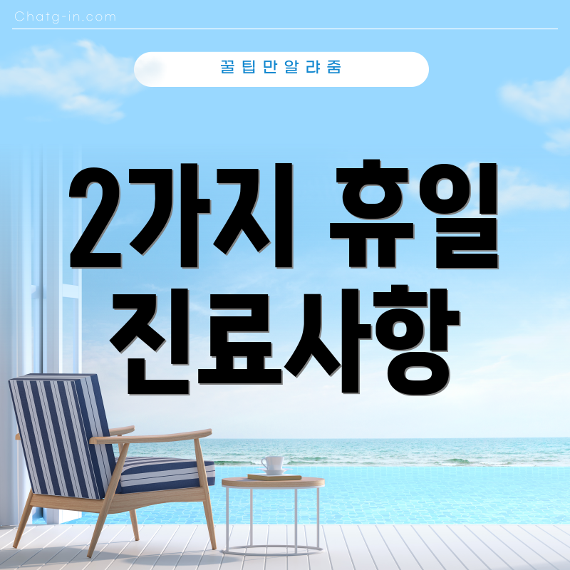 2가지 휴일 진료사항