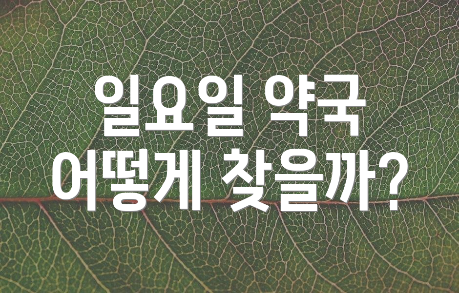 일요일 약국 어떻게 찾을까?