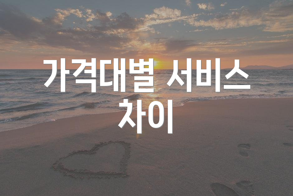 가격대별 서비스 차이